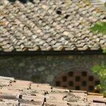Salvadonica * San Casciano in Val di Pesa