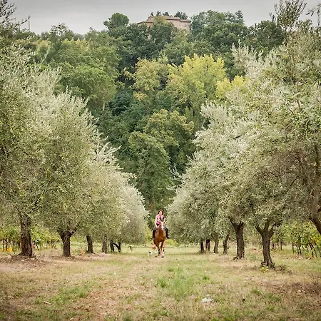 Agroturismo Salvadonica San Casciano in Val di Pesa