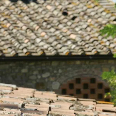 Salvadonica * San Casciano in Val di Pesa